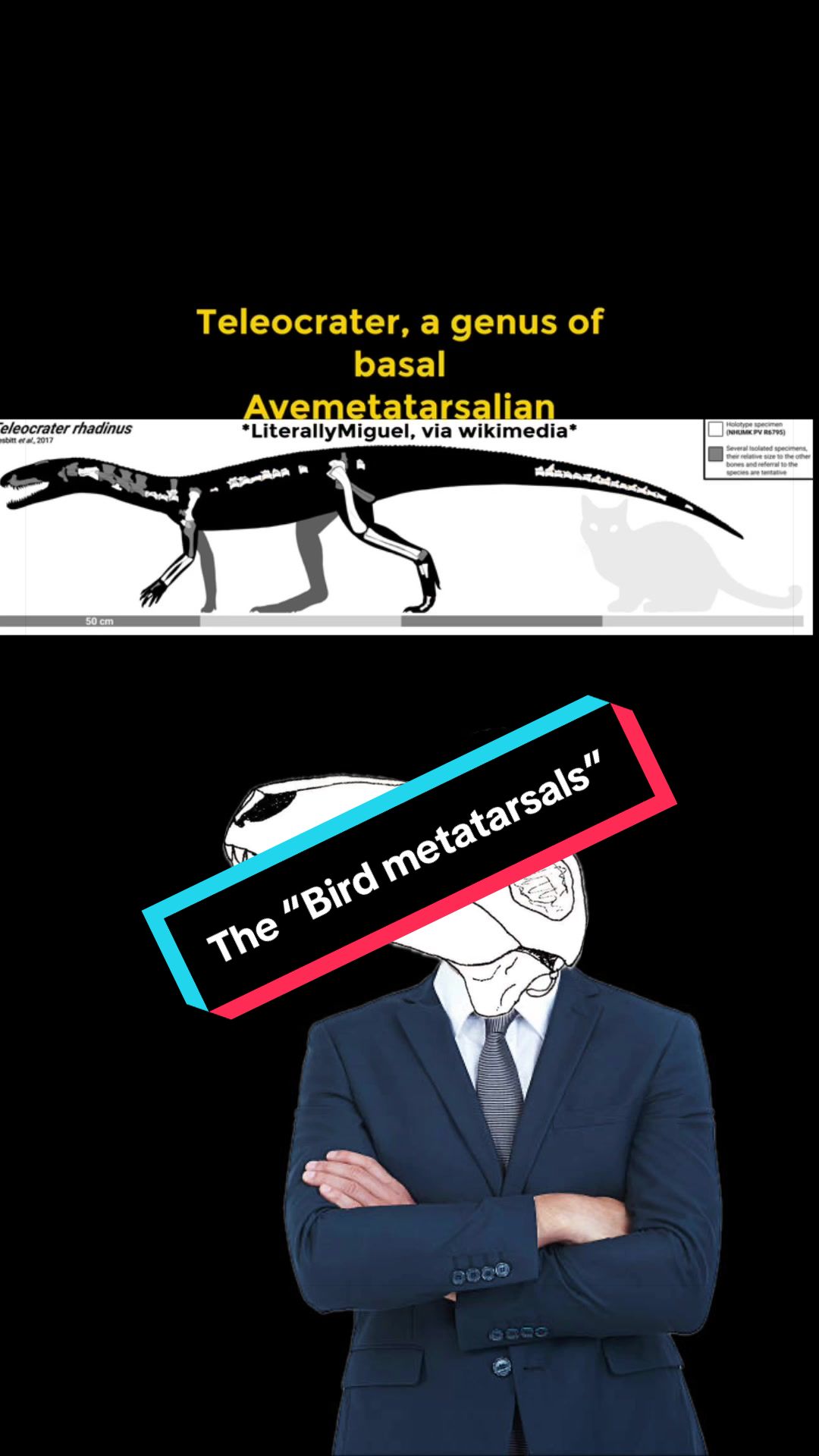 @Sarcastic_therapsid