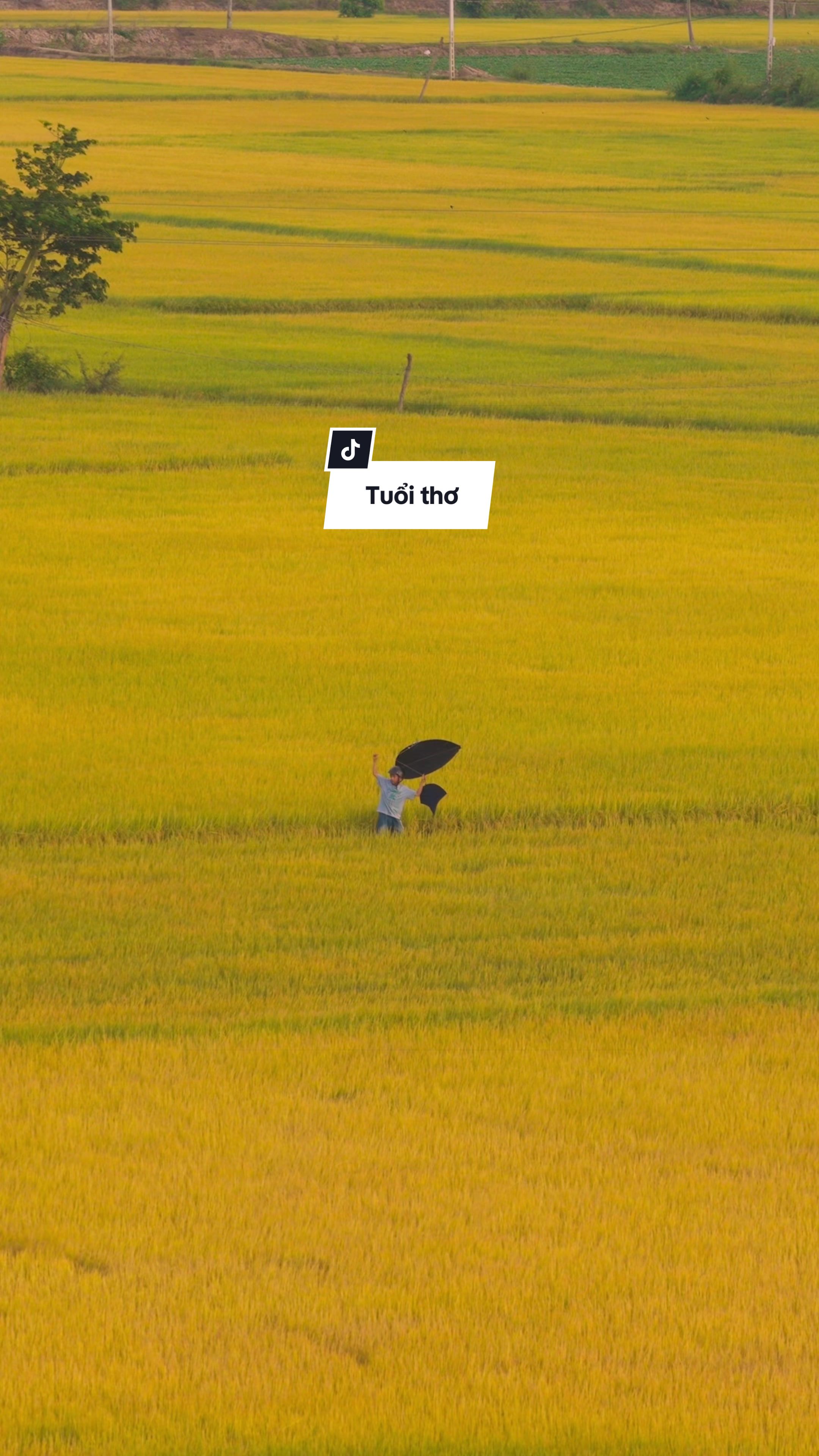 @Tuấn th&iacute;ch bay