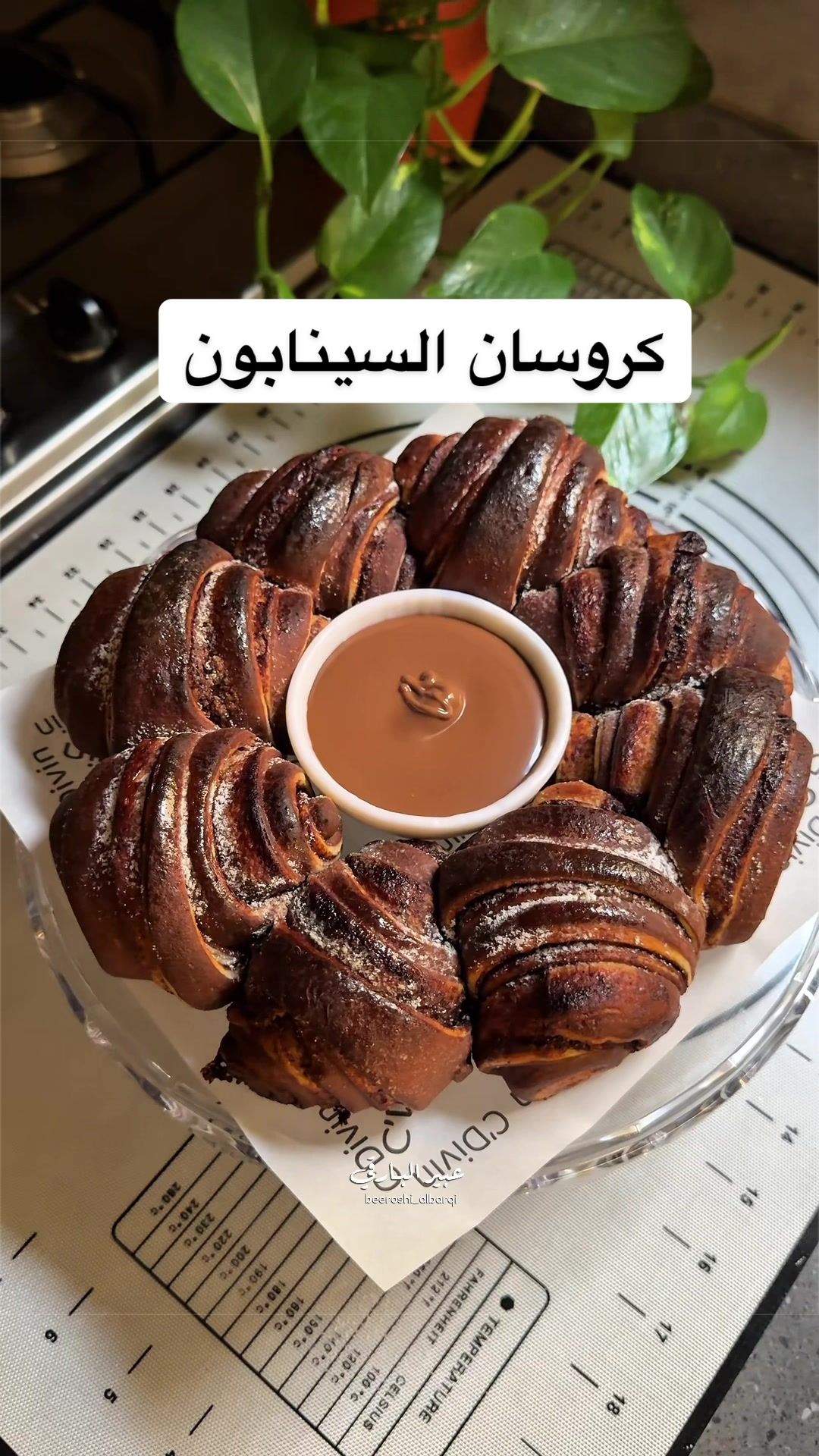 @Abeer Albarqi | عبير البارقي