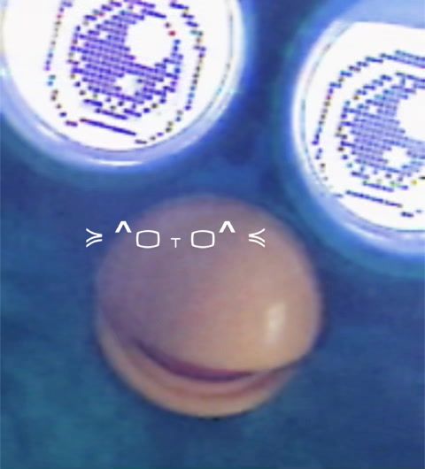 @Star Furby ✮ˎˊ˗ (๑ㅁ꩜) !!