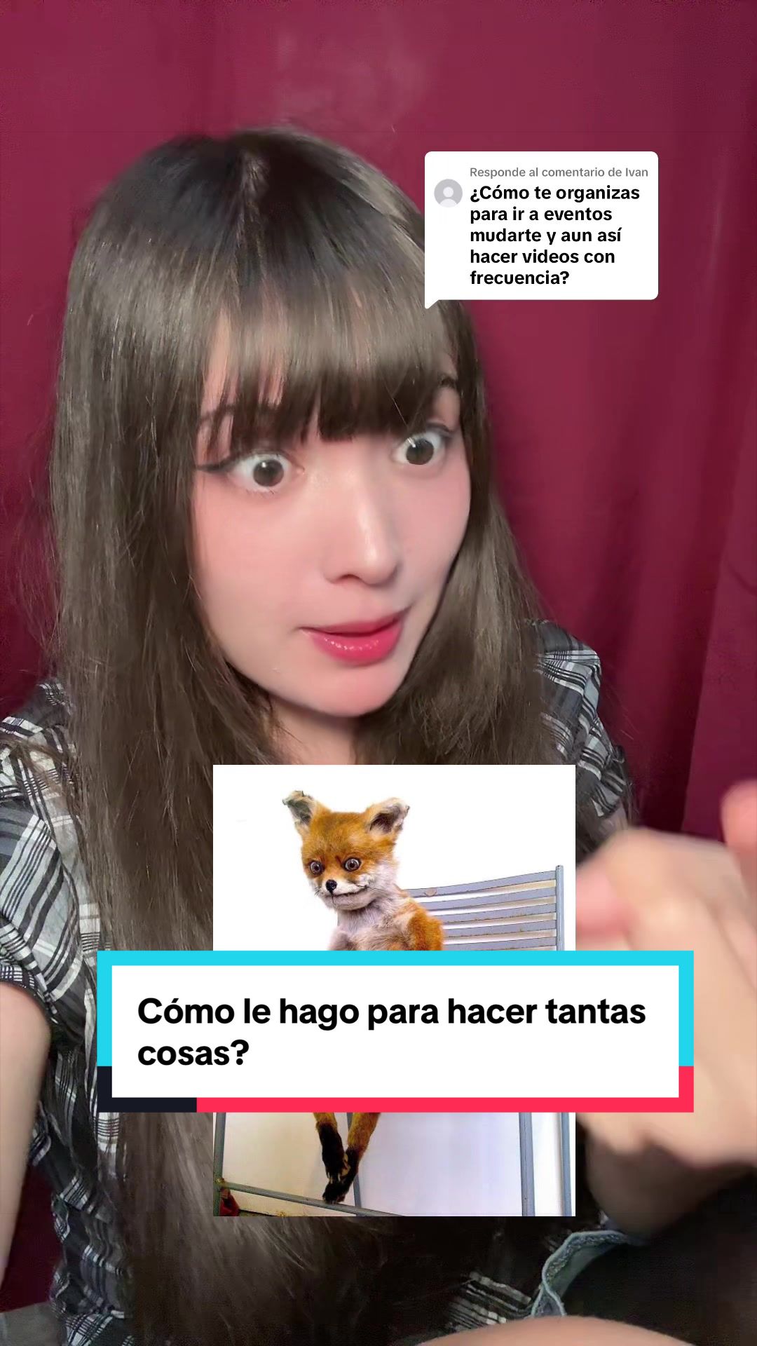 @hatojoestar
