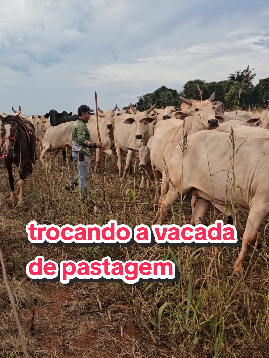 @Geovane neto