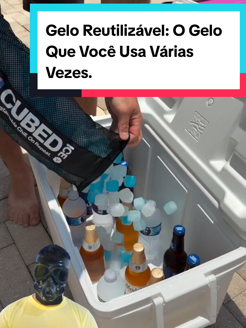 @Mundo da Curiosidades