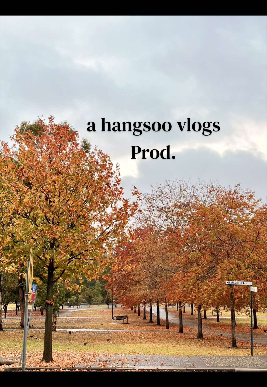 @HangsooL