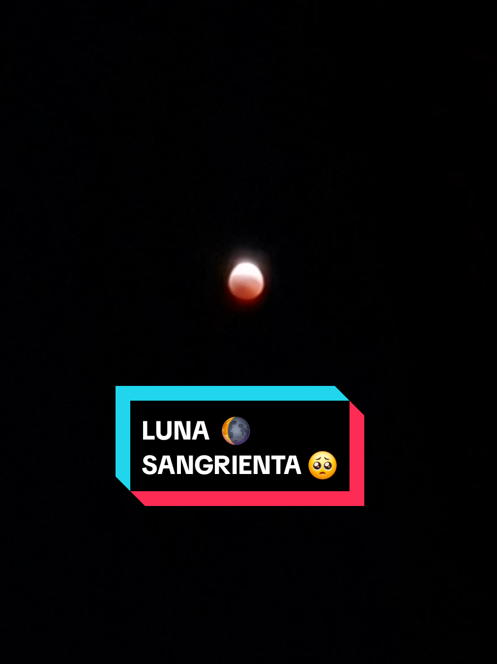 @🐢📽💻santos.f99📲🐢