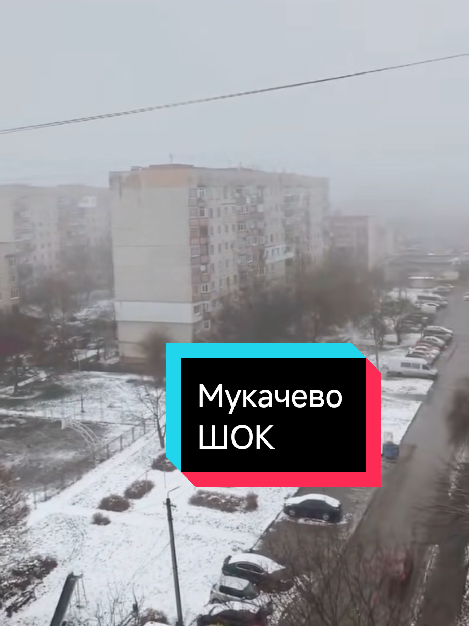 @Marinov_off
