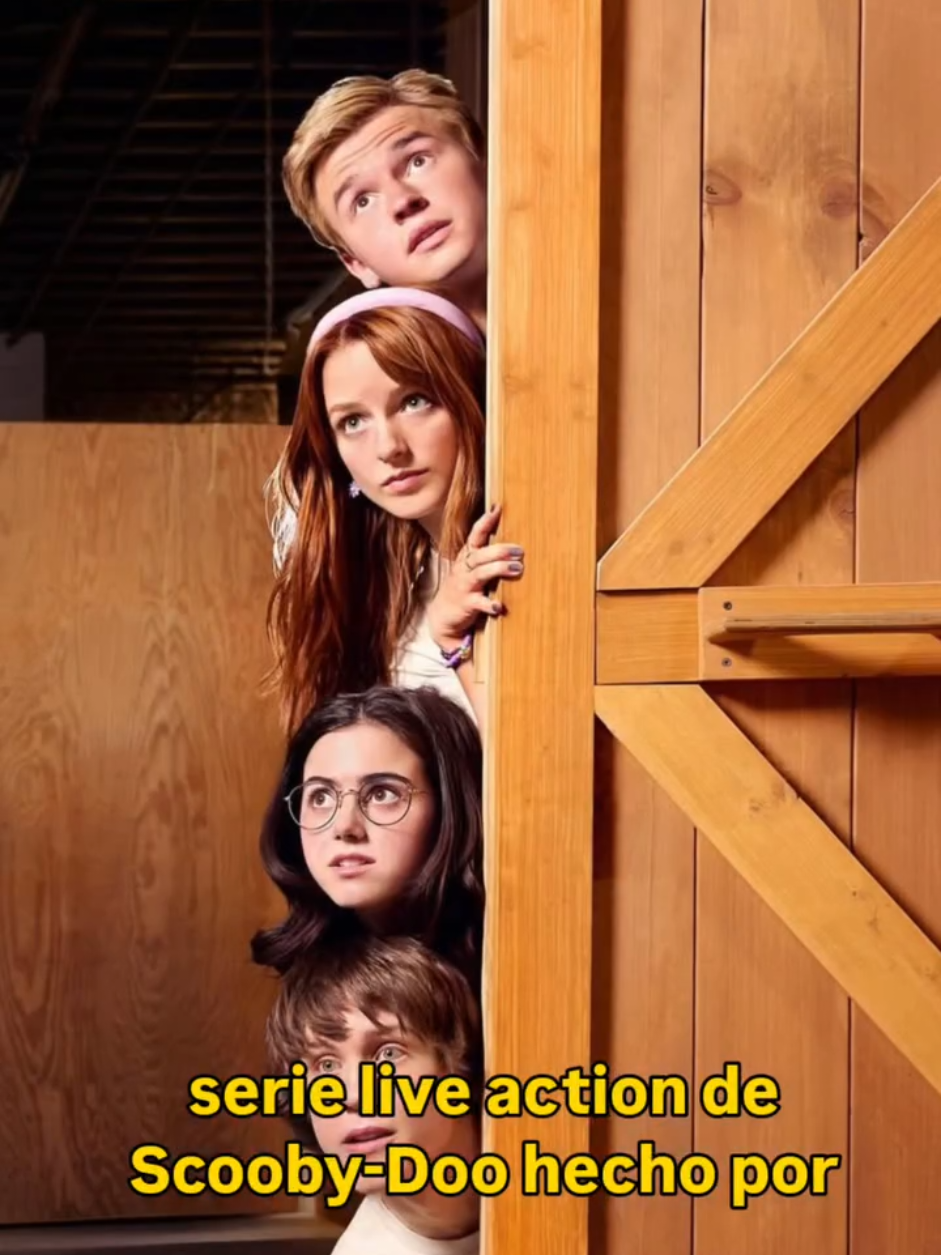 @Mirkousss