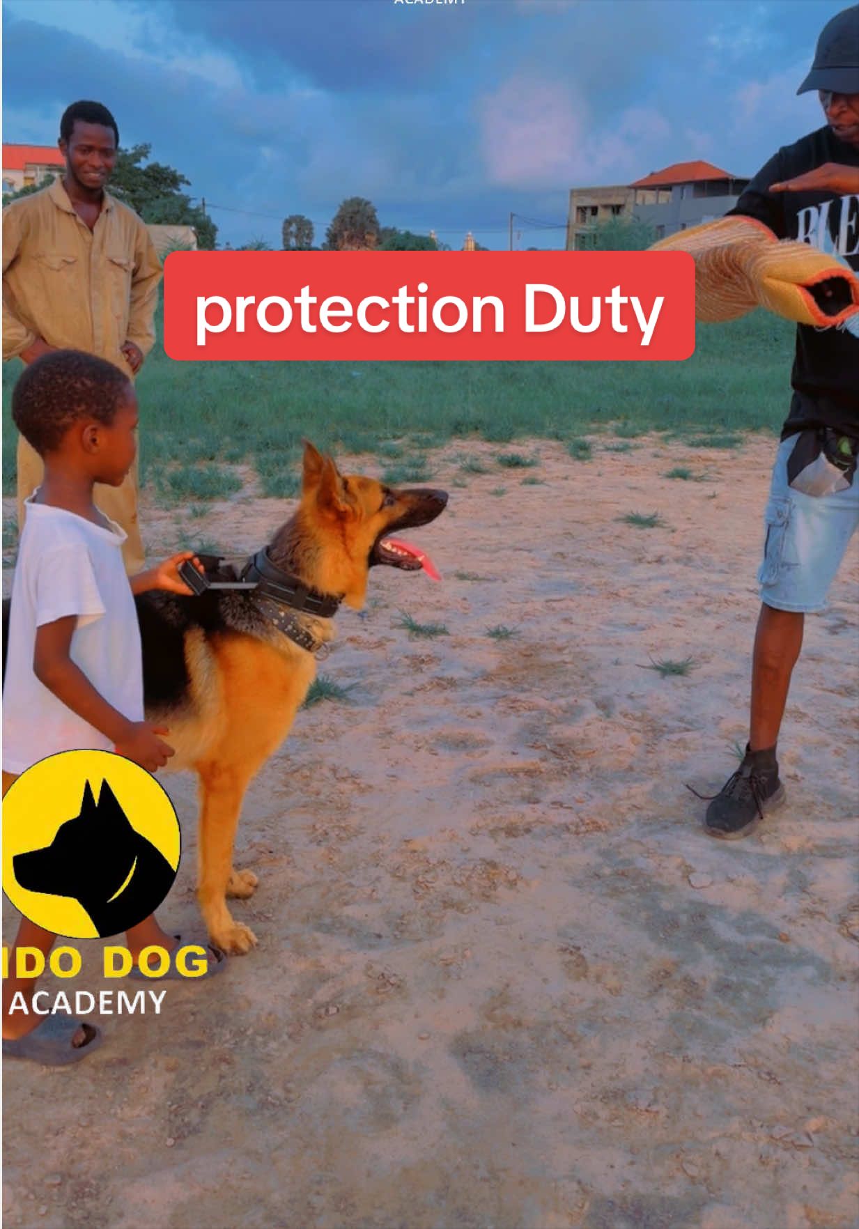 @Dog Master