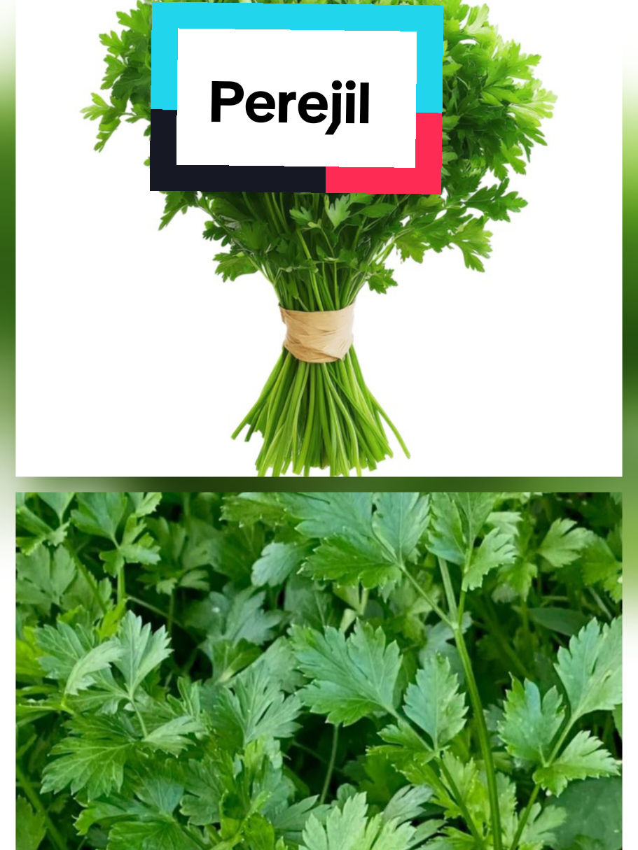 @𝐉𝐨𝐬𝐲
