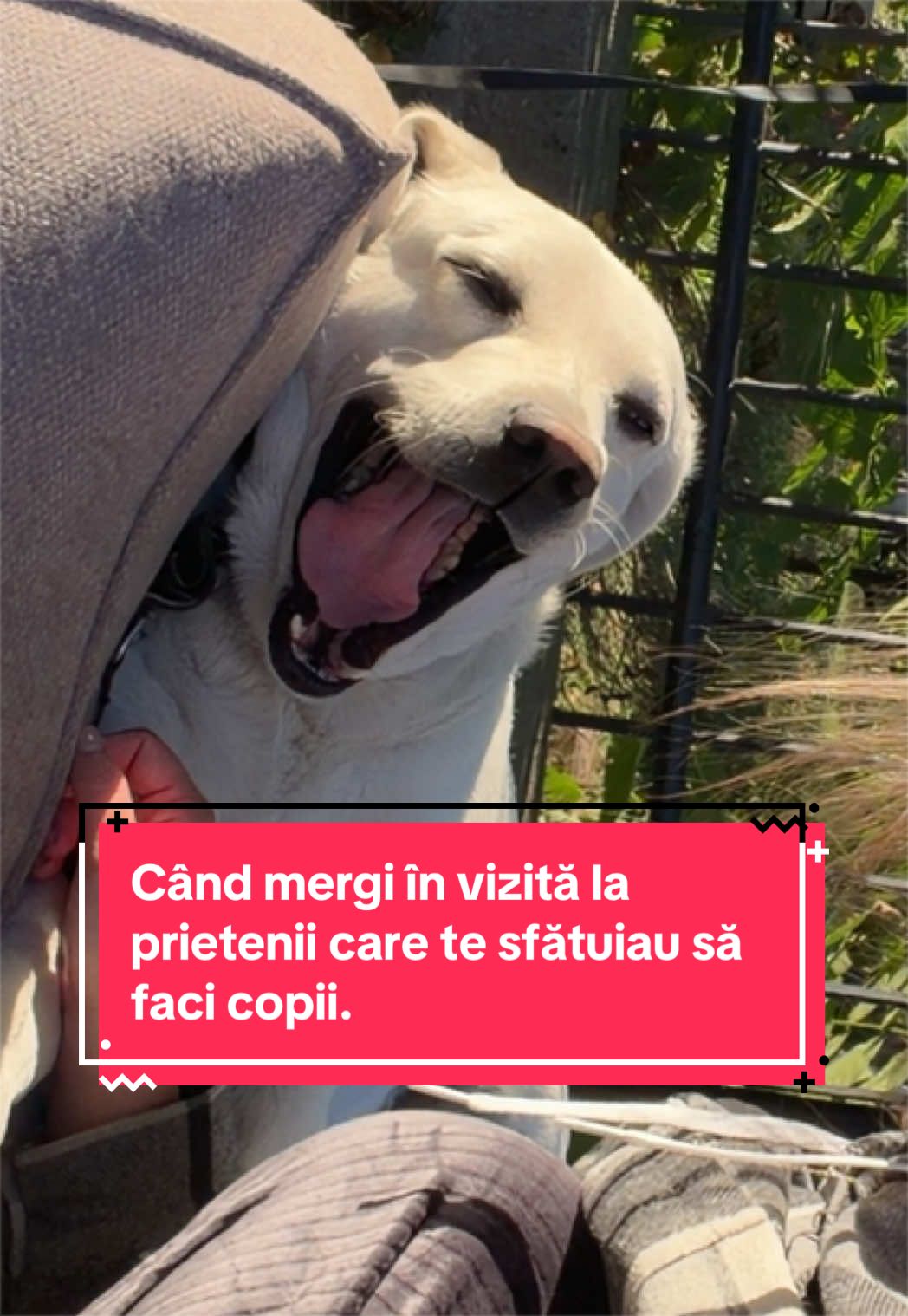 @Larisa🐾Taison