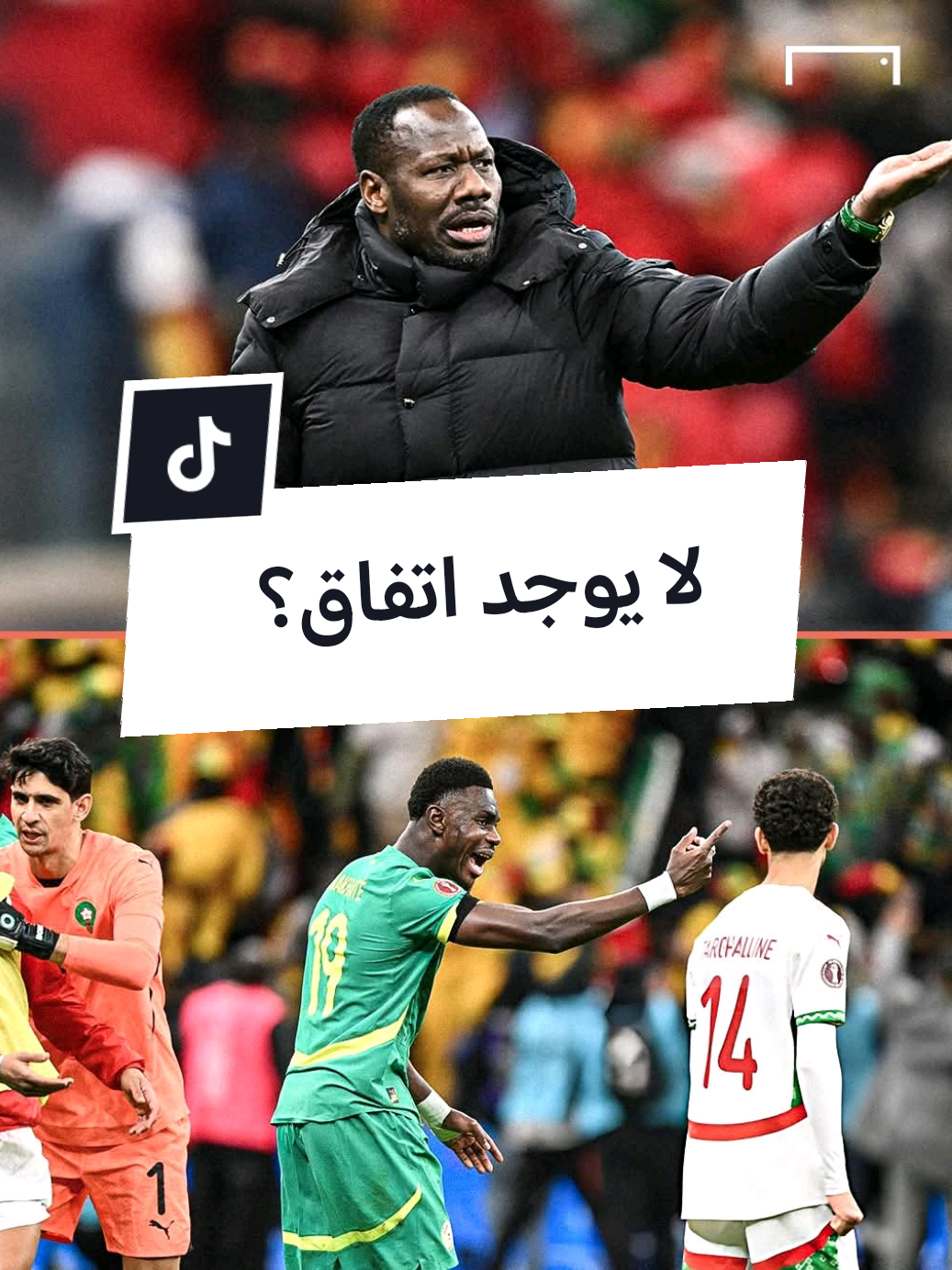 @ضياء بن عارف
