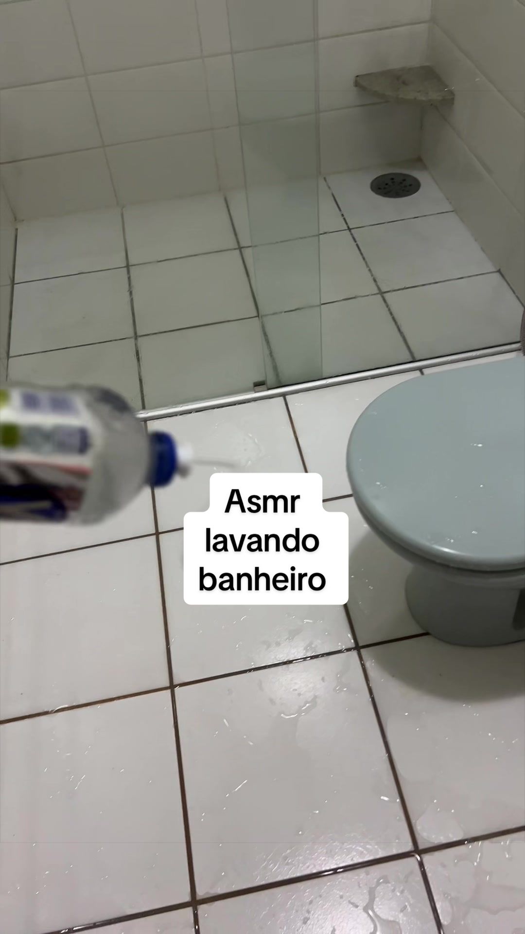 @Mariana Lemos