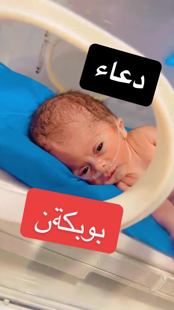 @Basit kurdi