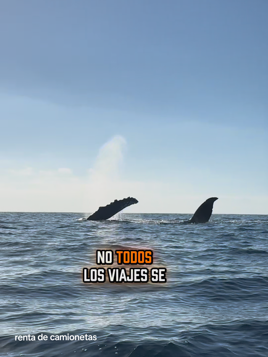 @TURISNAR