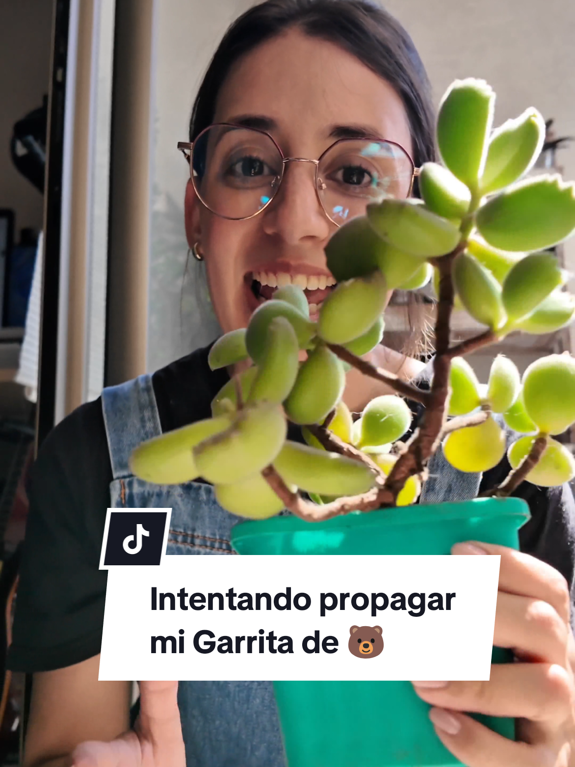 @Molicetas
