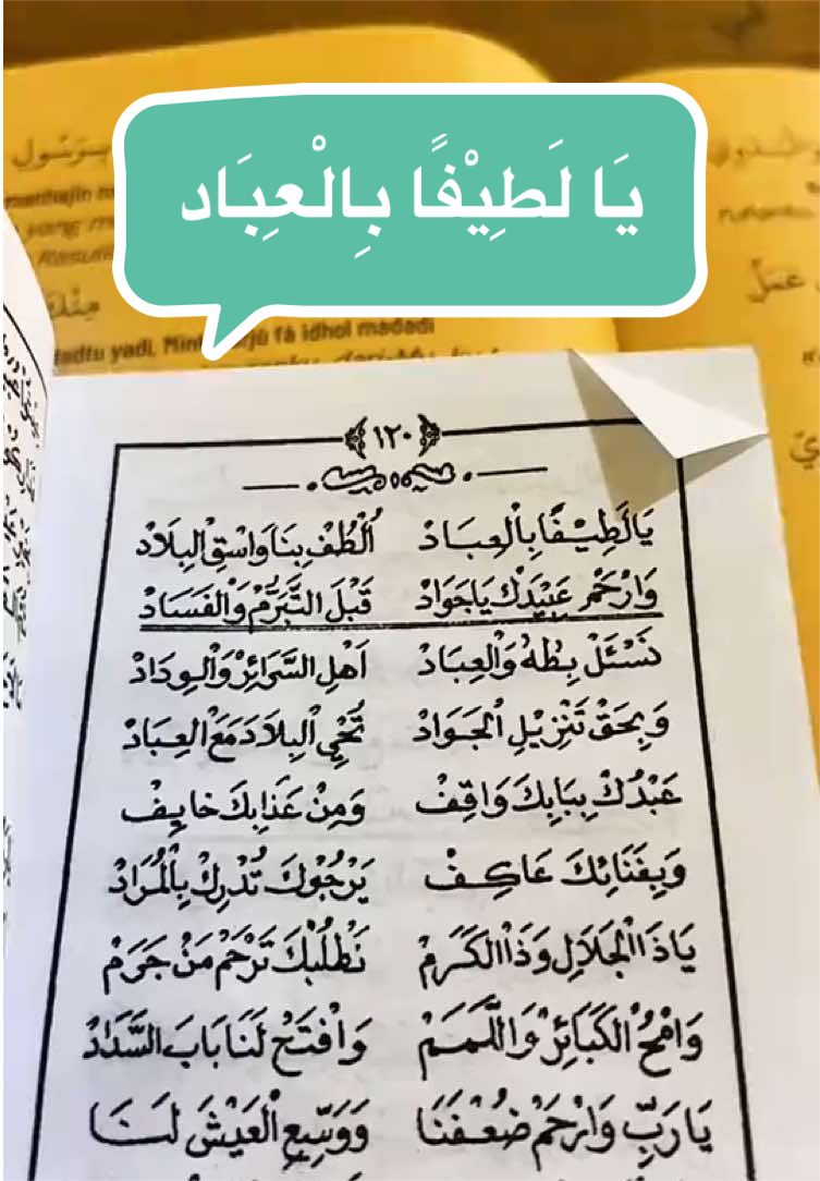 @𝓦𝓲𝓭𝓲𝓪🎧ྀི