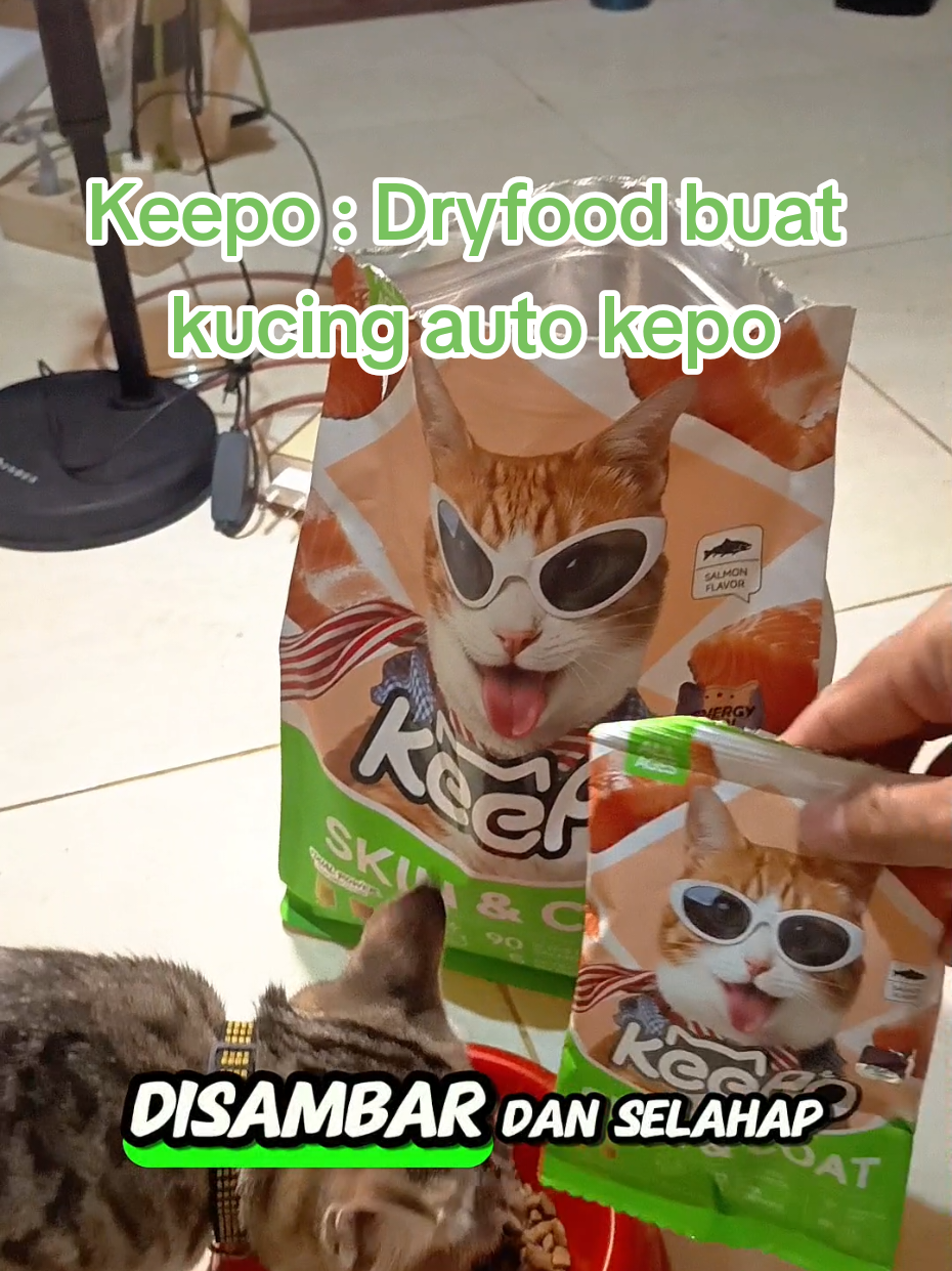 @Medayo Petcare