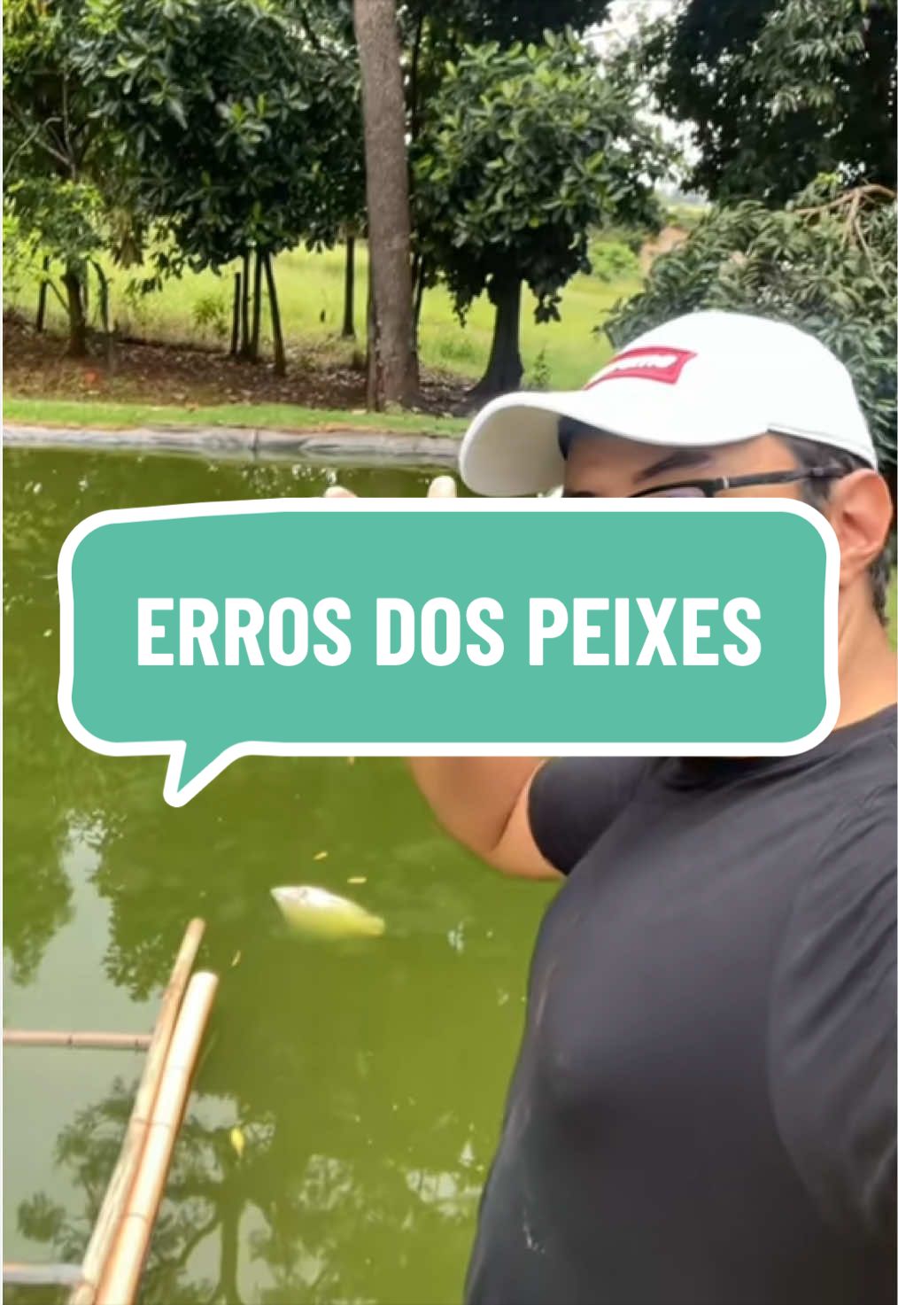 @diogopescarias