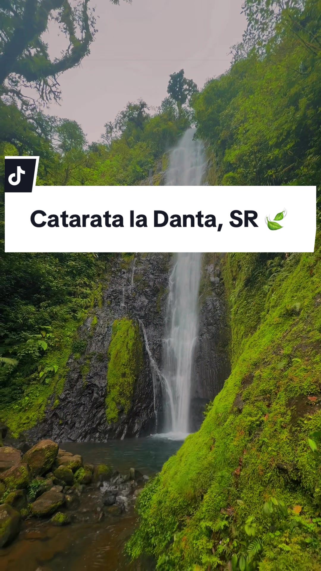 @Dylana Matamoros