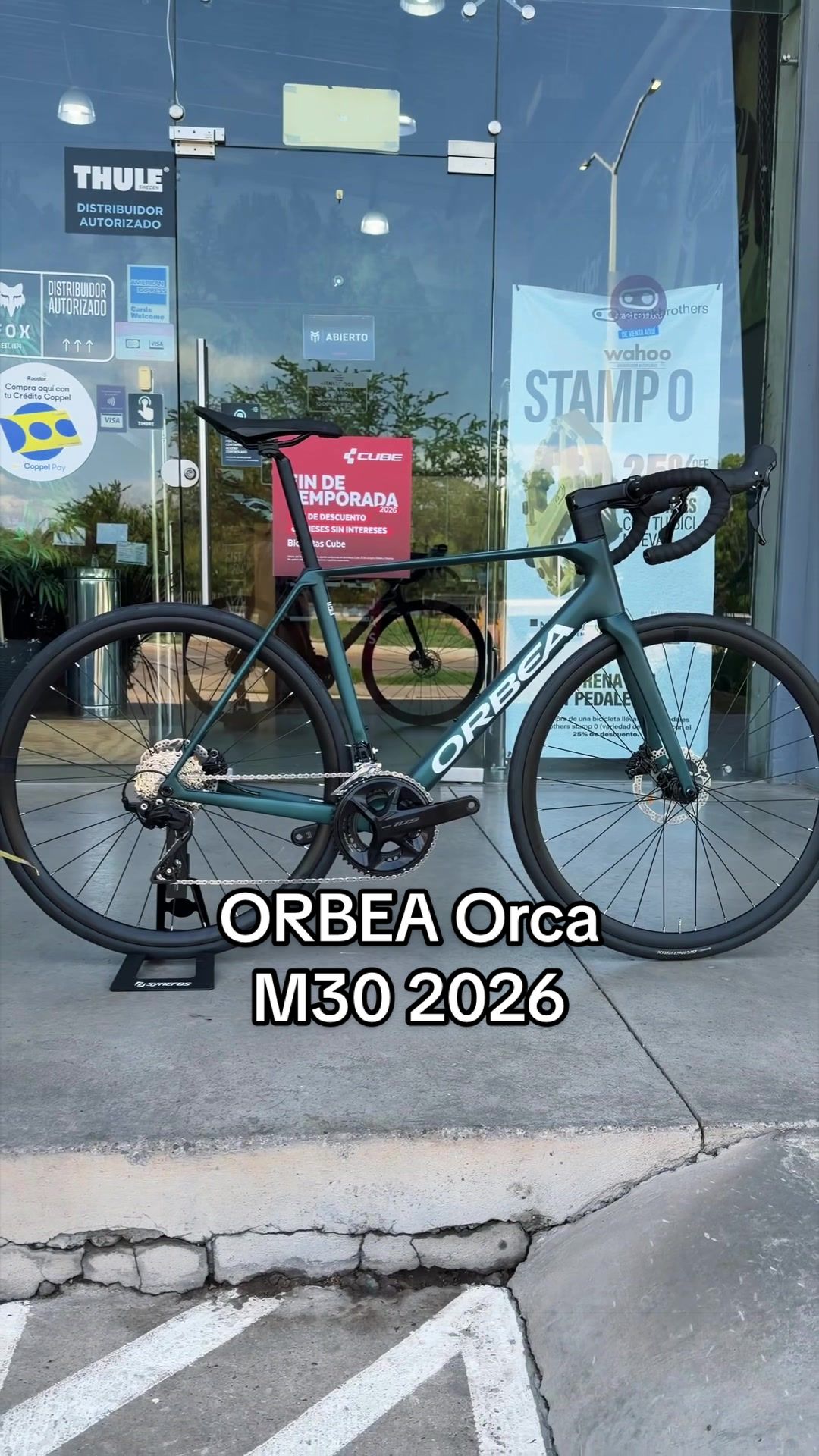 @Raudormx