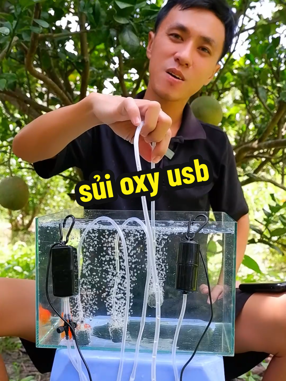 @Ngắm Cá Online