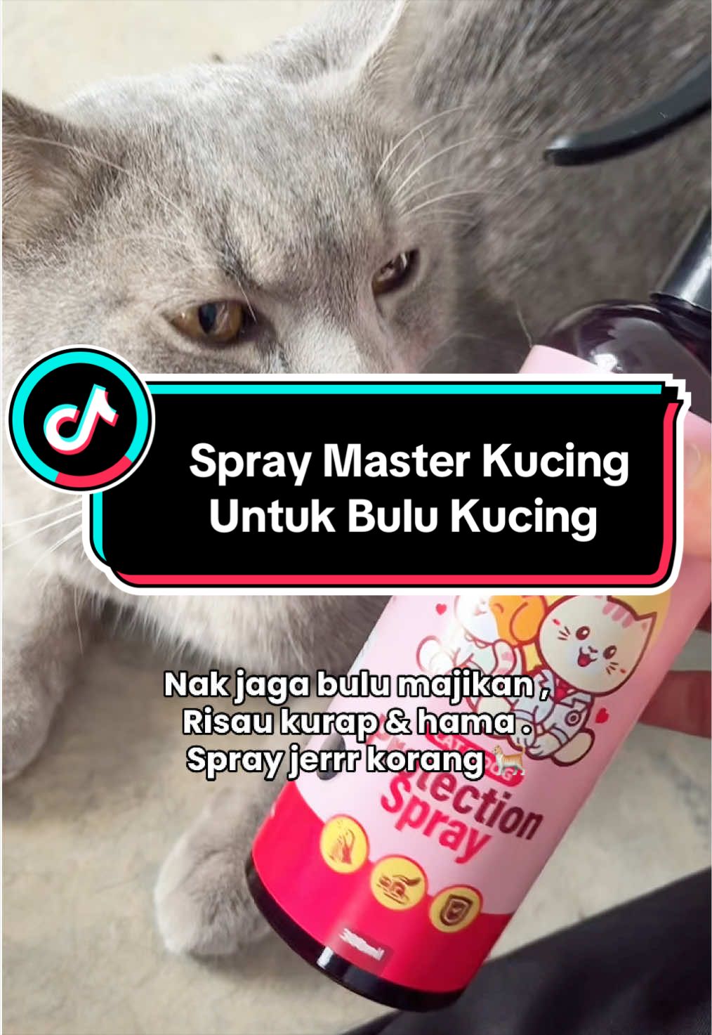 @HUDA ROSNAN
