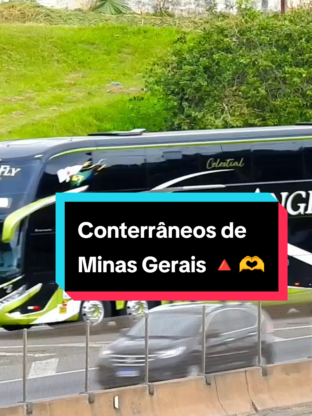 @ᴇᴅɪʟꜱᴏɴ ᴠɪᴅᴇᴏ ʙᴜꜱ🚍