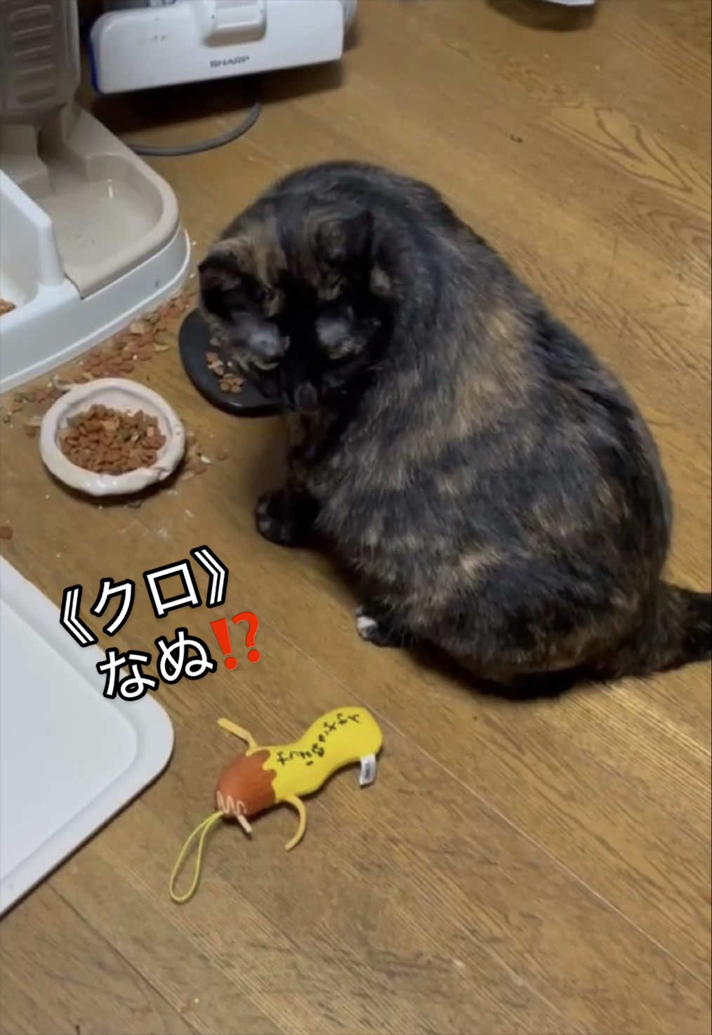 @聴々物語PROJECT