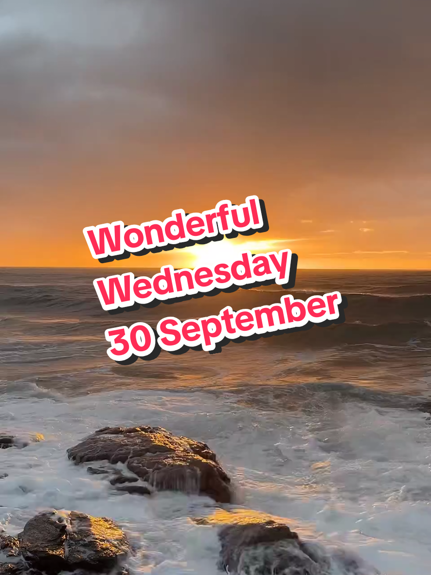@Werner 🔆 🌊 🇿🇦