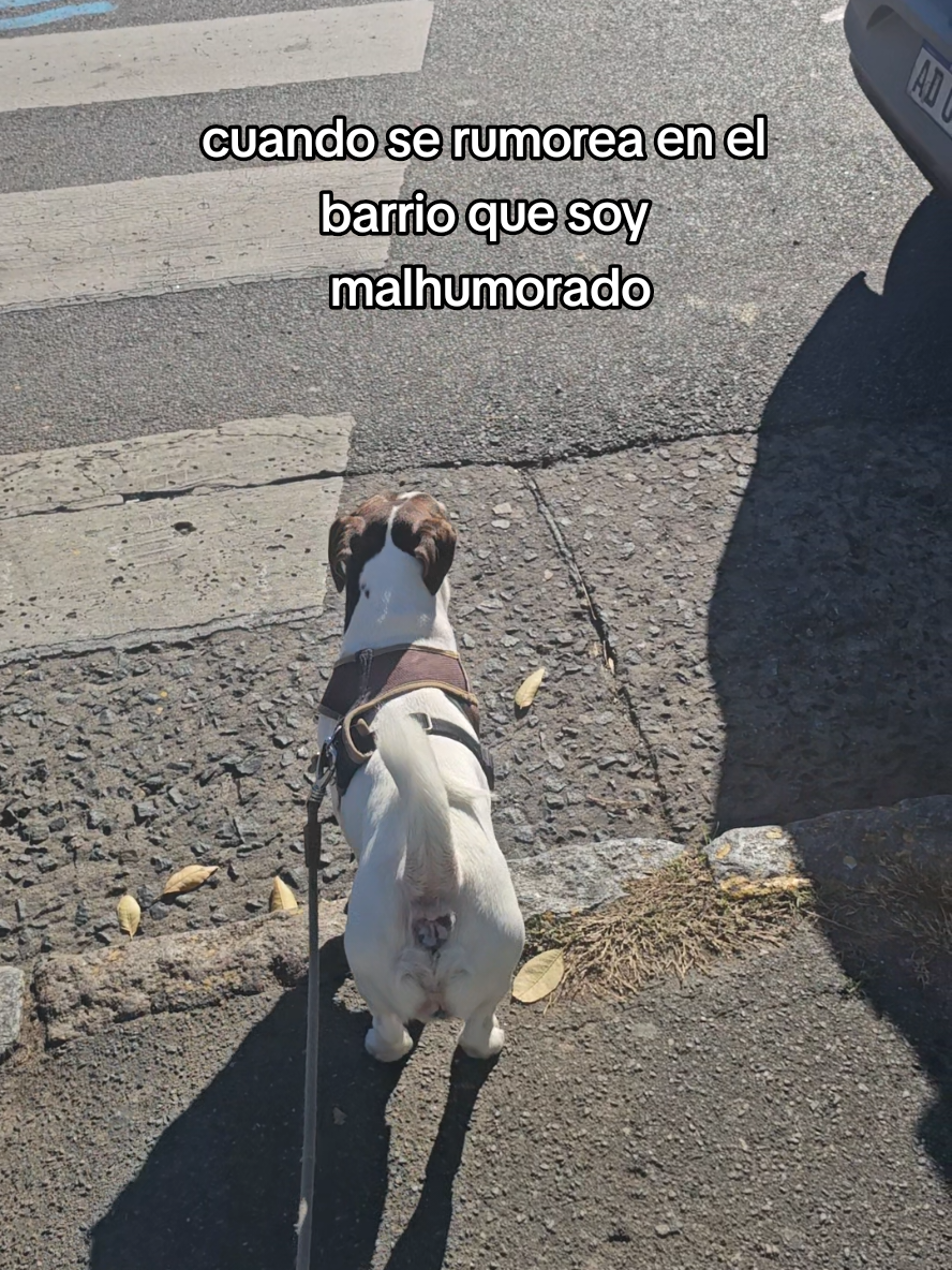 @Somos Teo y Tina