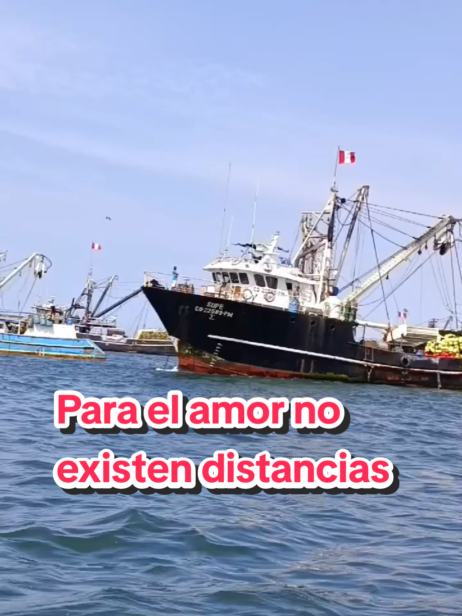 @Javi