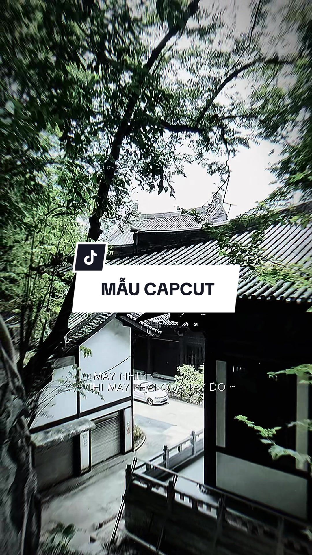 @TH&Agrave;NH TRƯỜNG ☄️