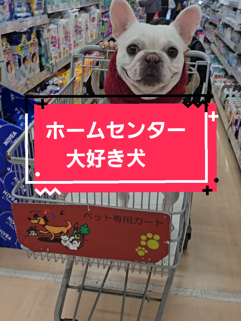 @フレブルJesse ❤️ MyO