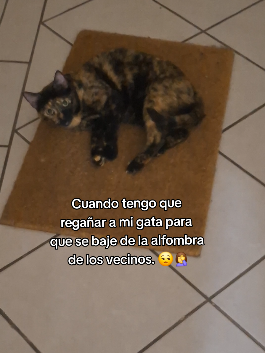 @MichiLovers&reg;