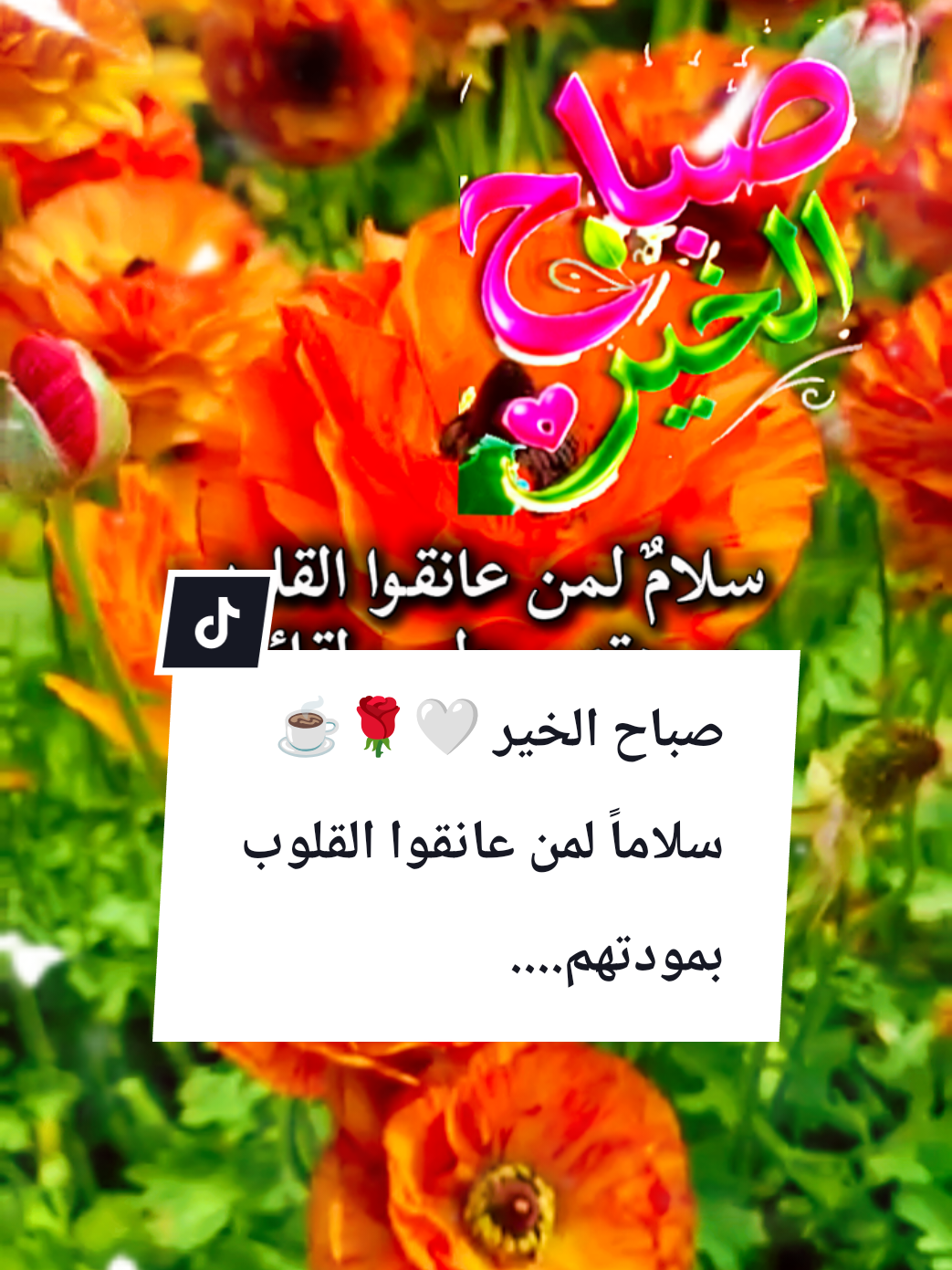 @🌟𝗦𝗼𝘂𝘇𝗮𝗻 𝗖𝗵𝗮𝗺𝘀