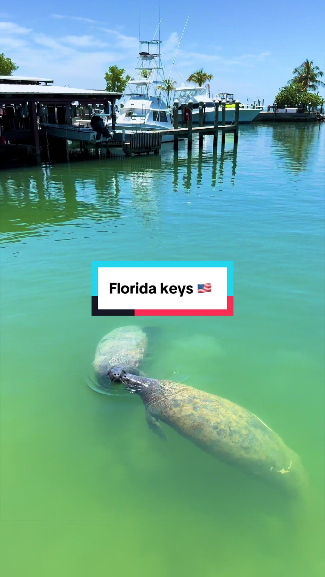 @Tom hartrey | Travel & video