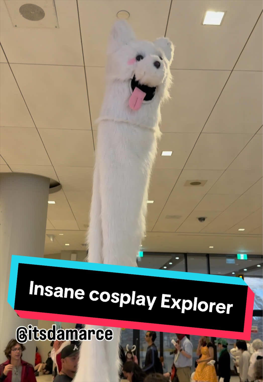 @The Expo Explorer🇨🇦