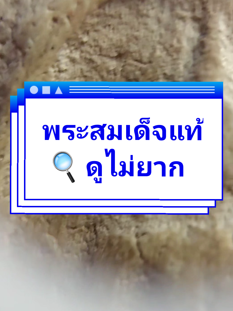 @บี กรมหลวง636