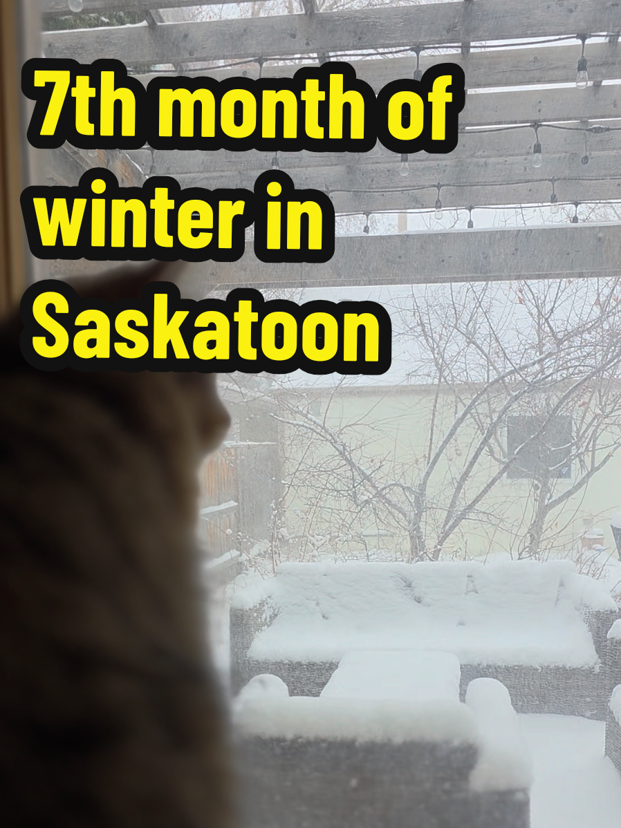 @Maygen / Sneaks YXE city guide