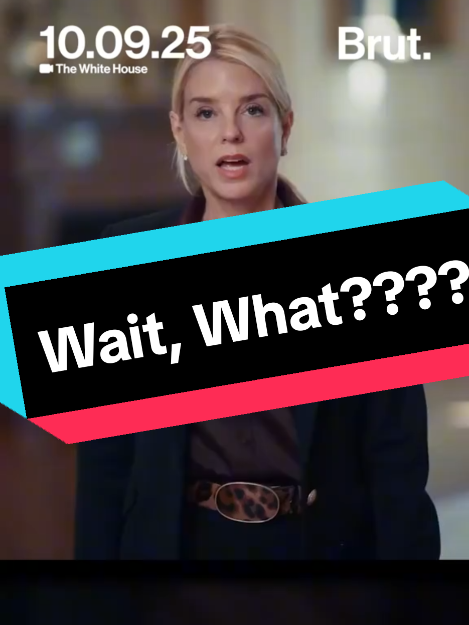 @Wanda&ensp;|&ensp;Let&lsquo;s TikTok