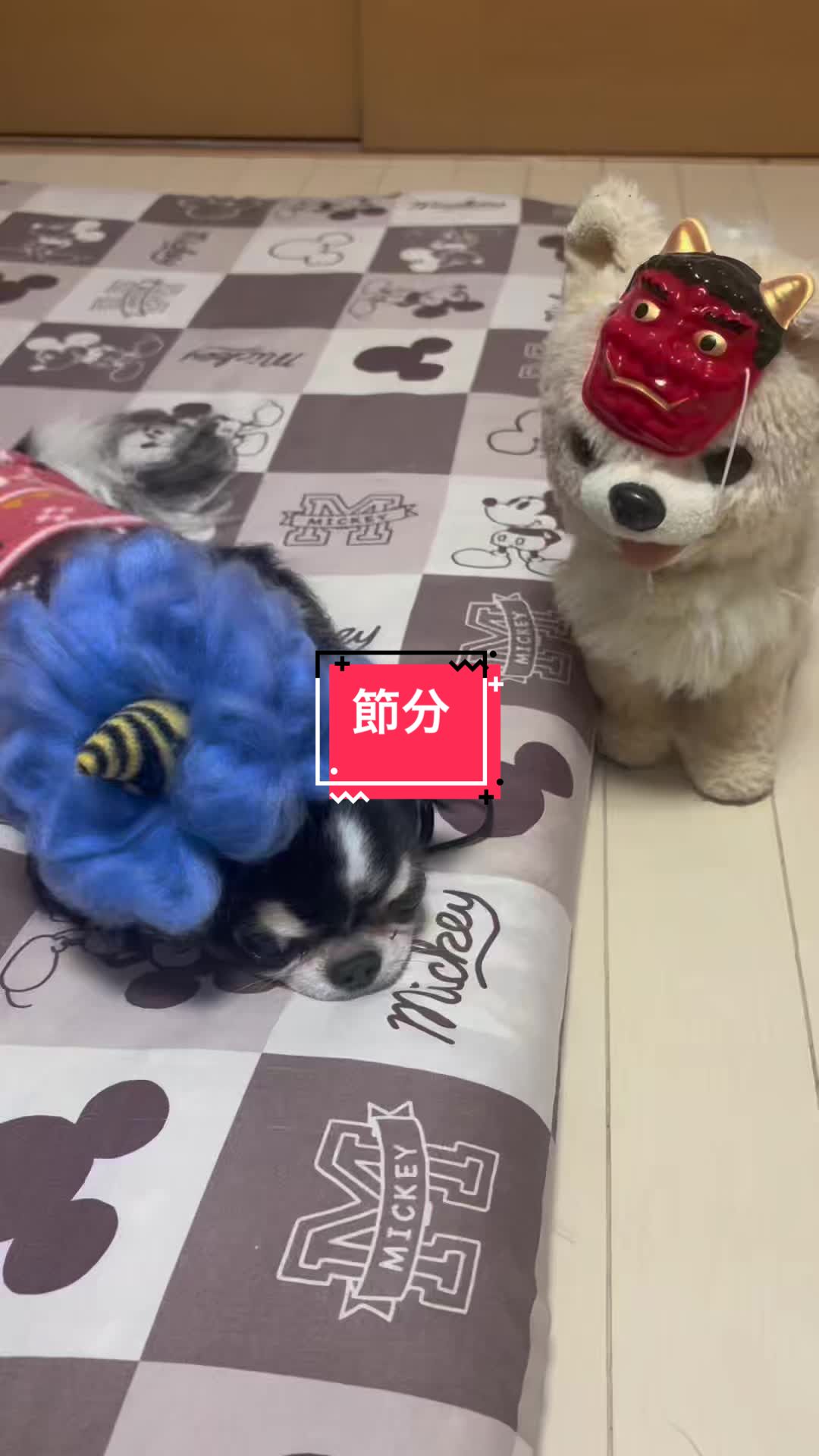 @ニンニン🐶🩵🍀