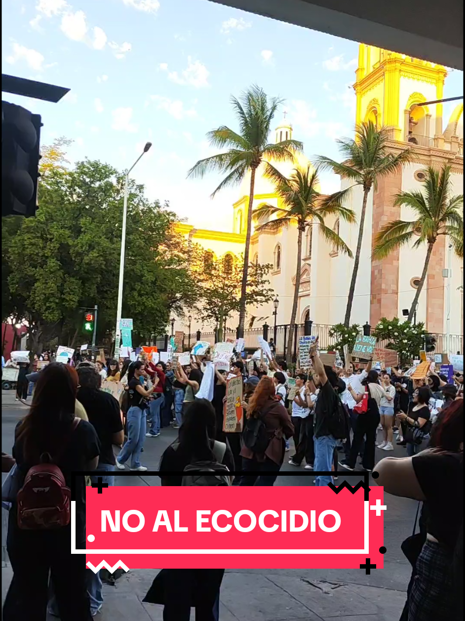 @coslune
