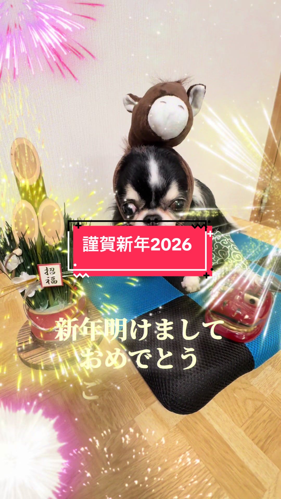 @ニンニン🐶🩵🍀