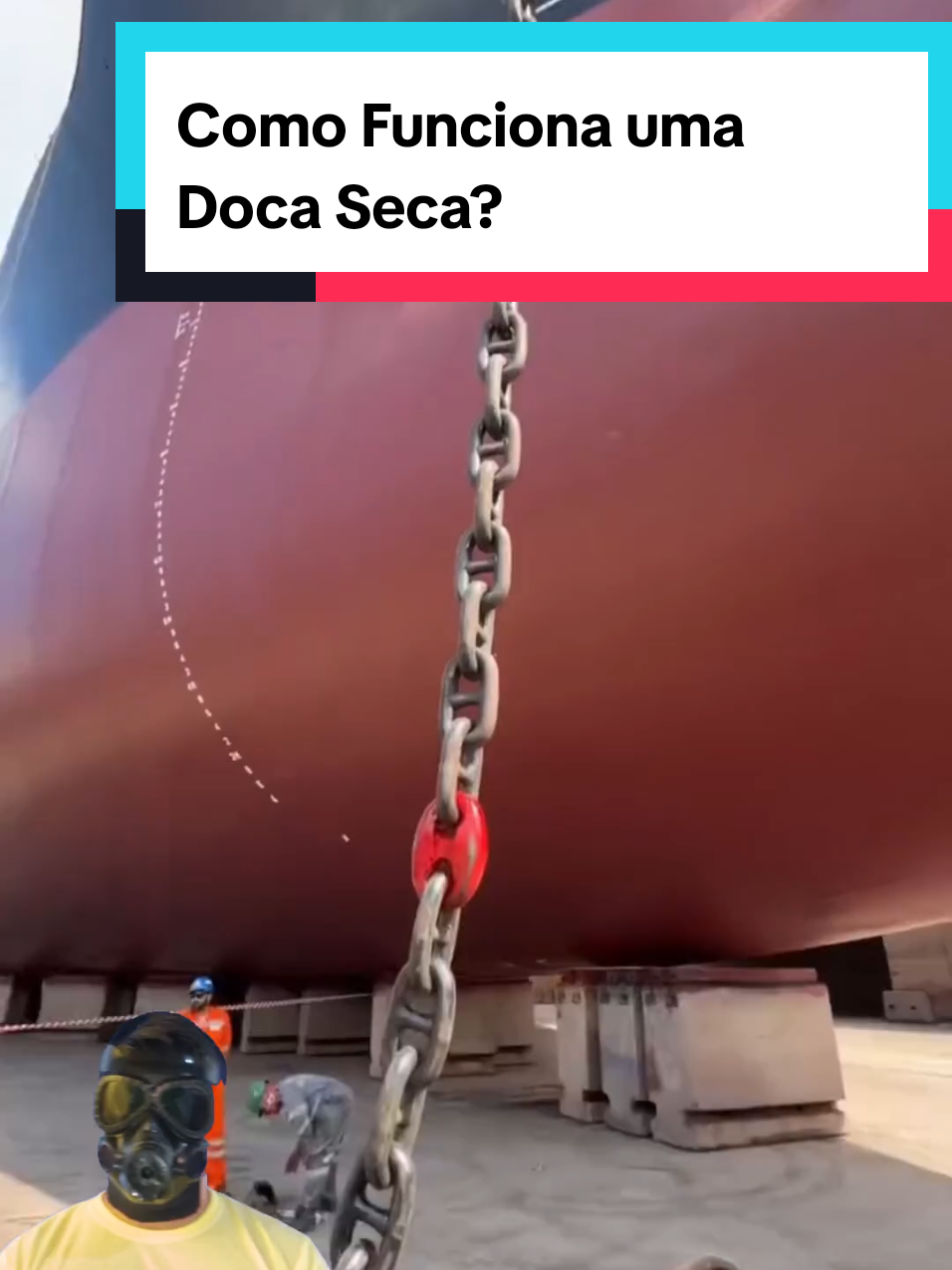 @Mundo da Curiosidades