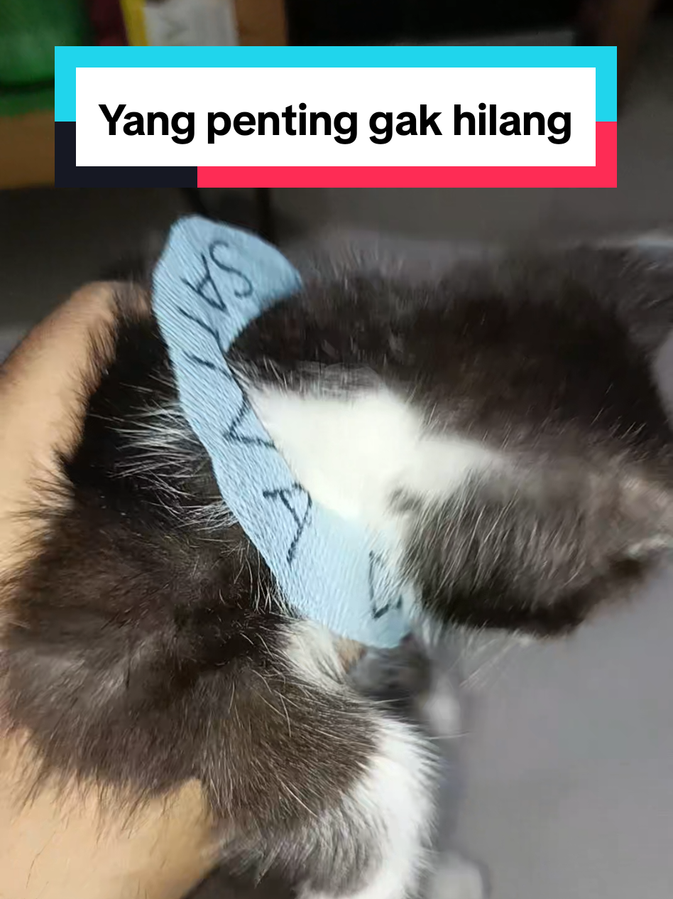 @Ontran