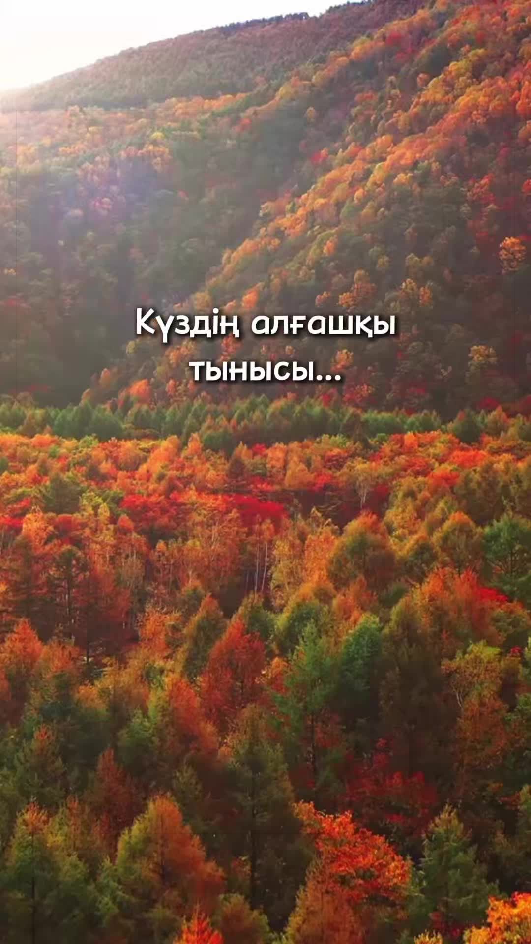 @aray_dinasil