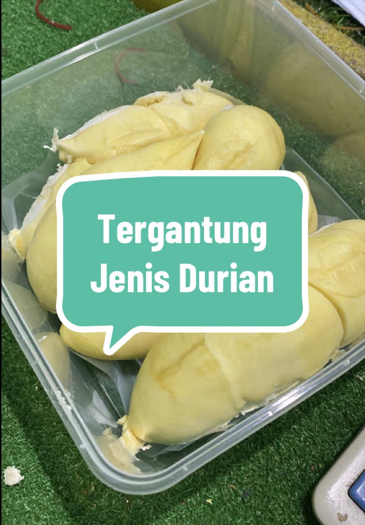 @Rumah Tamma Durian