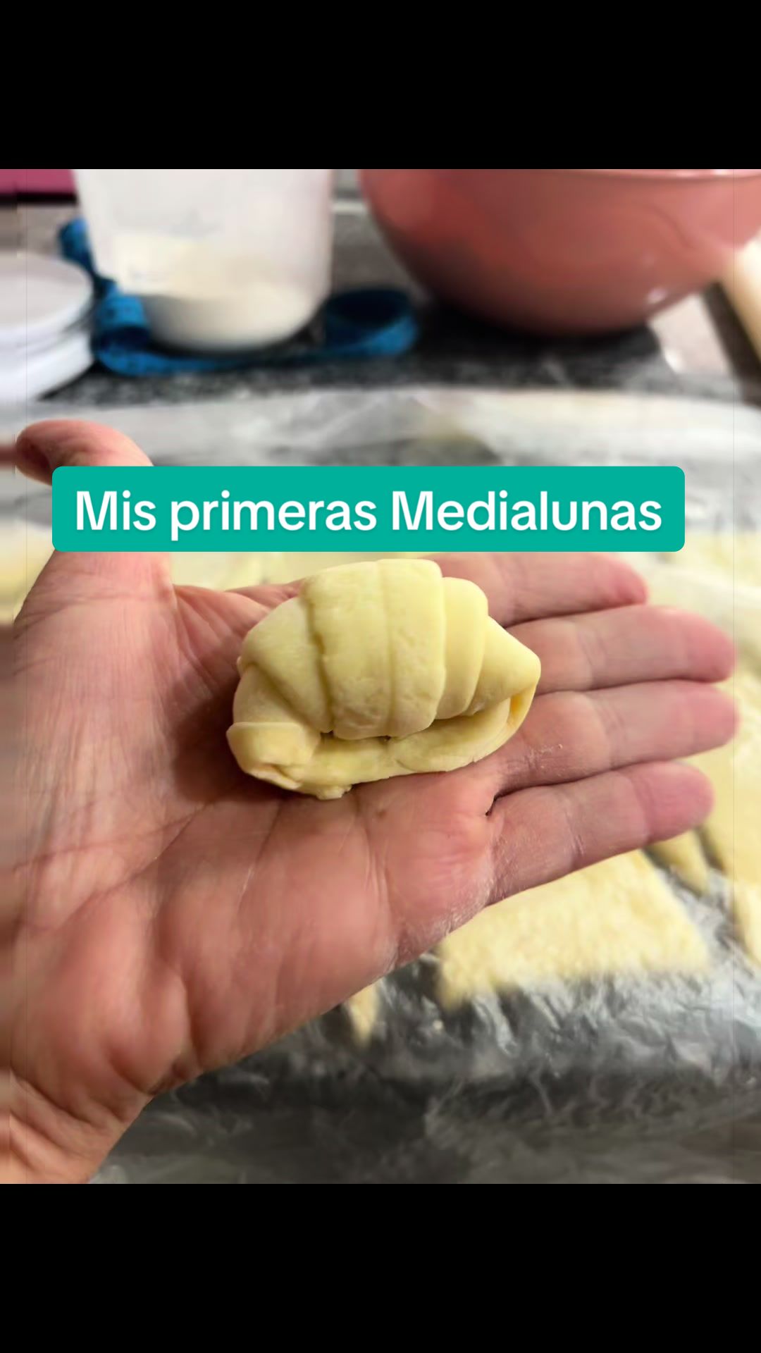 @pasteles mushis