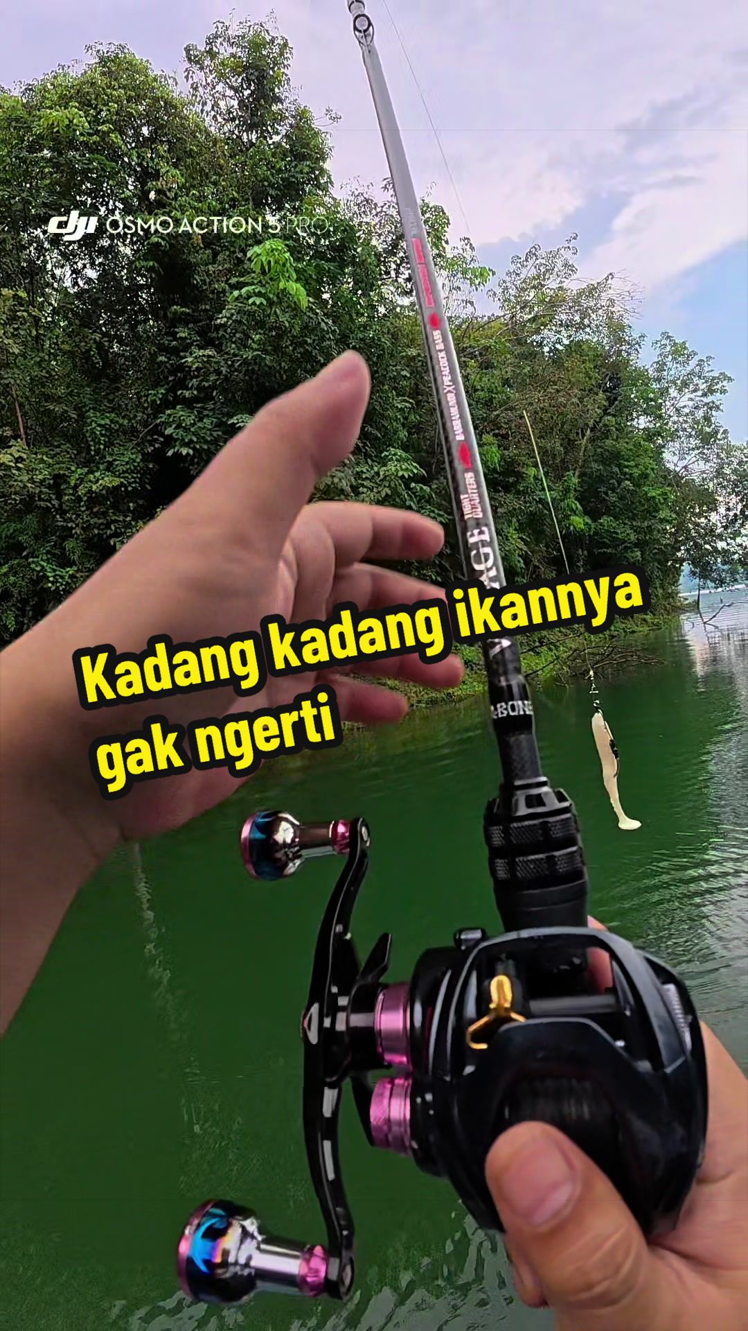 @tomy prasetio