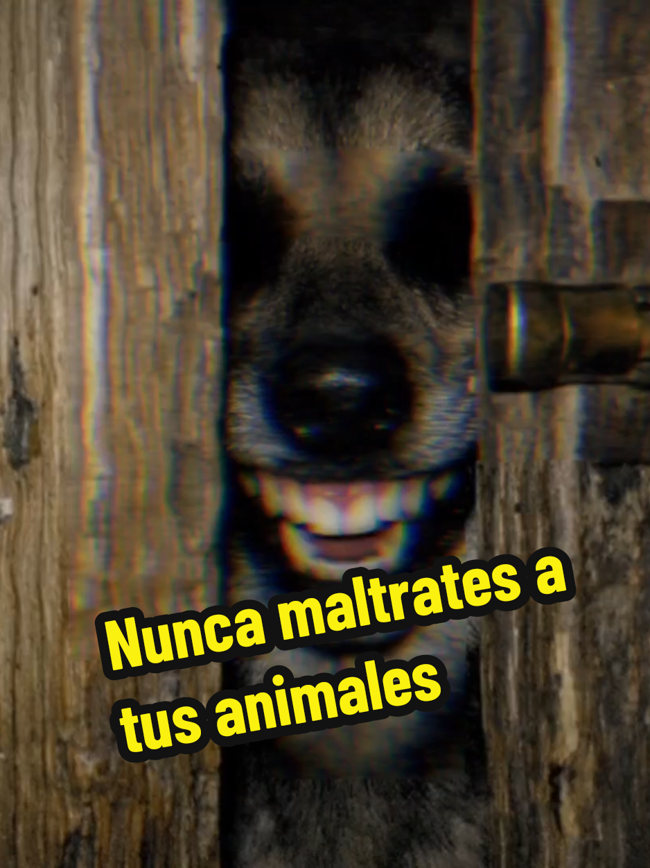 @El diario de coraje